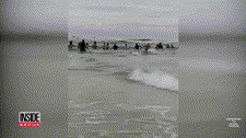 미국 어느 해변에서 일어난 일.gif