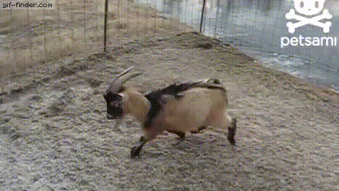 ㅈ..자..연스러웠어.gif