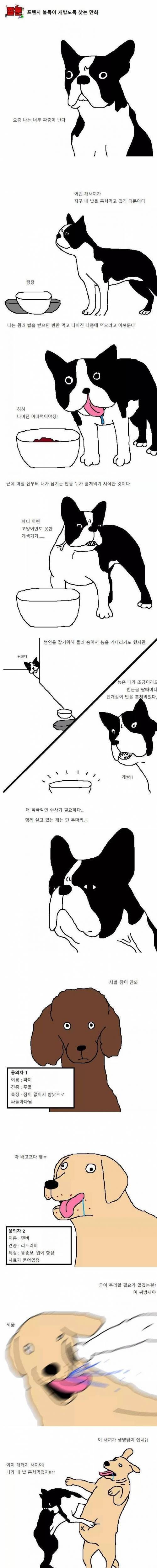 개사료 도둑 잡는 만화.jpg