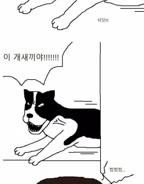 개사료 도둑 잡는 만화.jpg