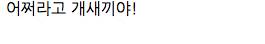 이 안에 폭탄이 있는거같습니다멍.jpg