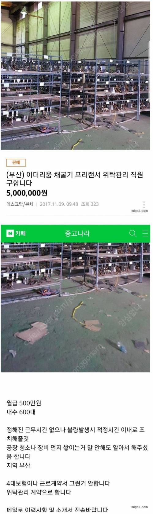 흔한 월500짜리 직장. jpg