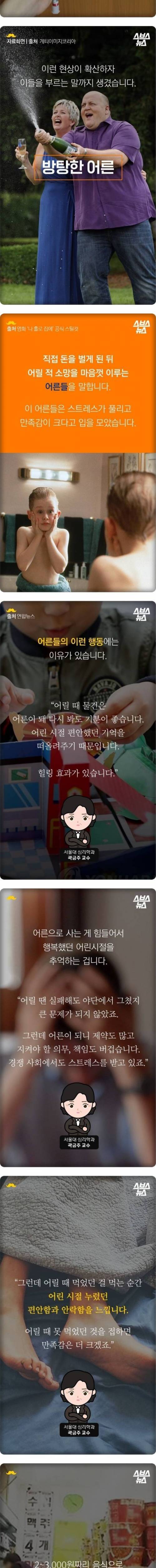 방탕한 어른의 소비.jpg