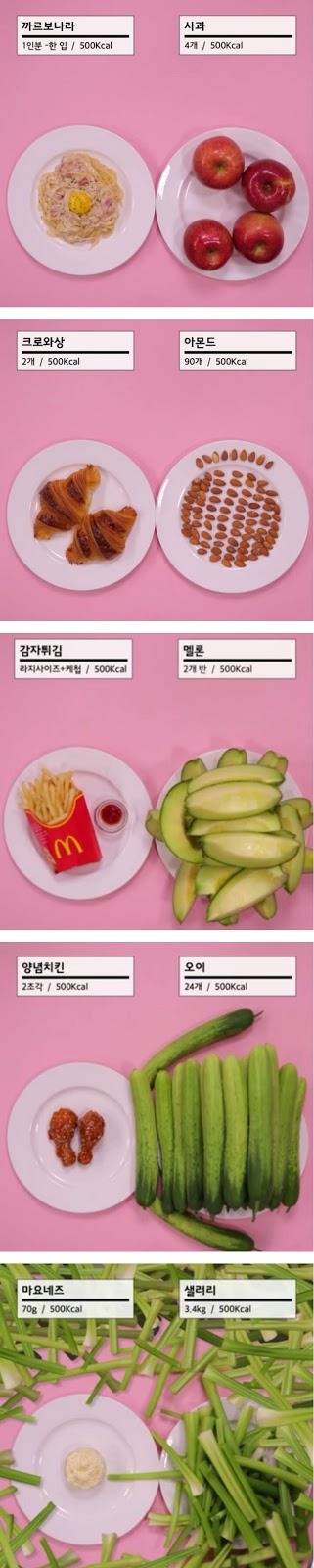 500kcal 비교.jpg