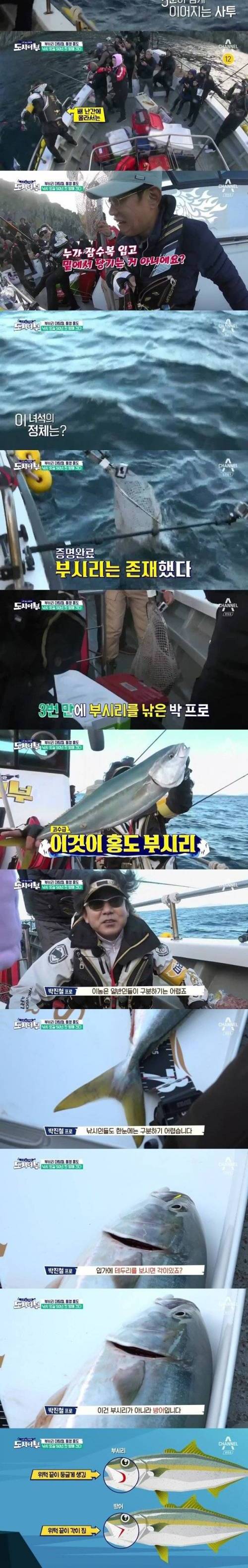 프로의 낚시.jpg