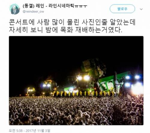 콘서트 현장 사진.jpg