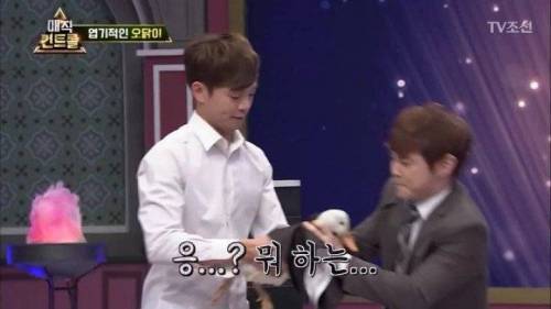 머글 능욕하는 마술사.jpg