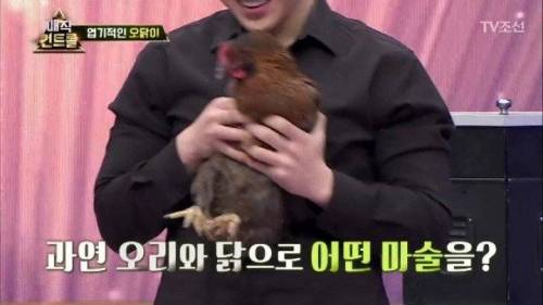 머글 능욕하는 마술사.jpg