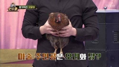 머글 능욕하는 마술사.jpg
