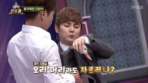 머글 능욕하는 마술사.jpg