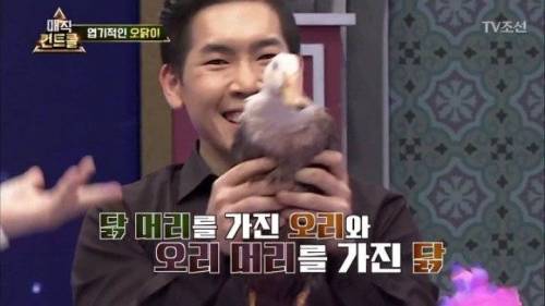 머글 능욕하는 마술사.jpg