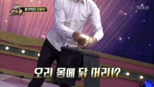 머글 능욕하는 마술사.jpg