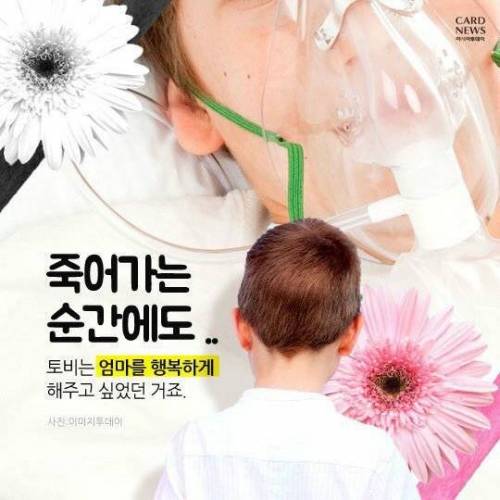 60년치 꽃다발을 주문한 소년.jpg