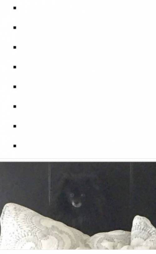 강아지를 입양했는데 도무지 보이질 않는다.jpg