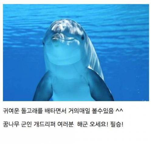 고등학교 졸업할 친구들을 위한 추천.jpg