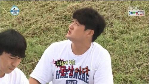 한강에서 갈매기를 본 부산 사람.jpg