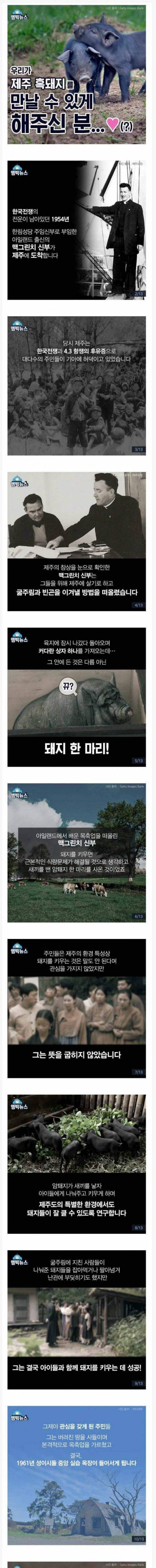 제주 흑돼지의 역사.jpg