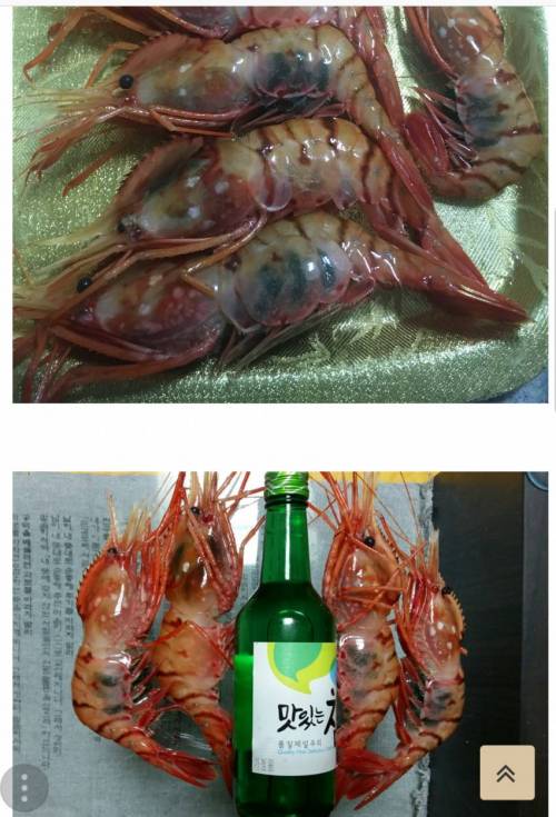 일본이 발광하고있는 독도새우.jpg