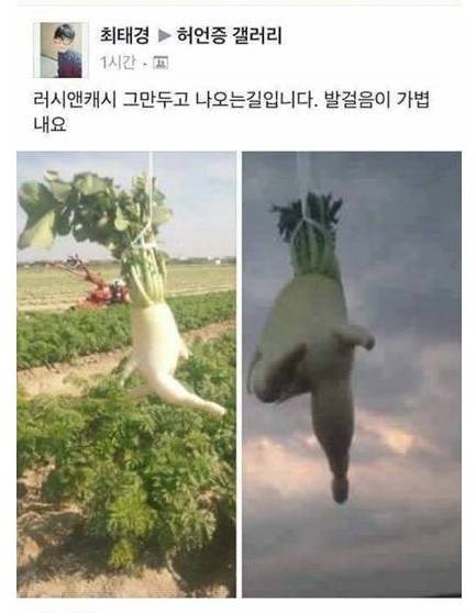 페이스북 허언증.JPG