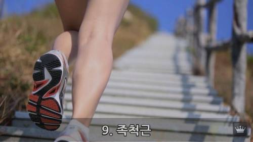 인간의 몸에 남은 진화의 흔적.jpg