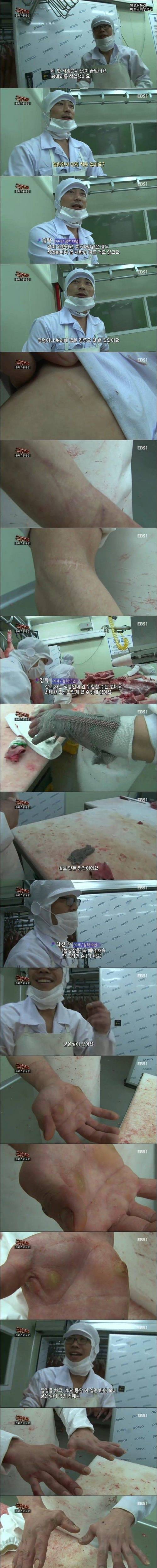 돼지 발골 19년차의 손.jpg