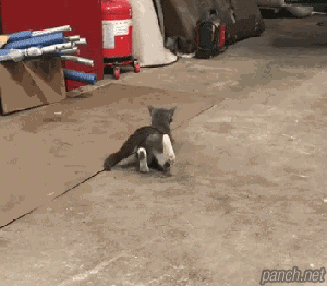 빵을 너무 열심히 구웠더니.gif