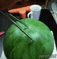 수박 아트.gif