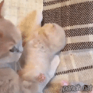 엄마, 그만 쫌!.gif