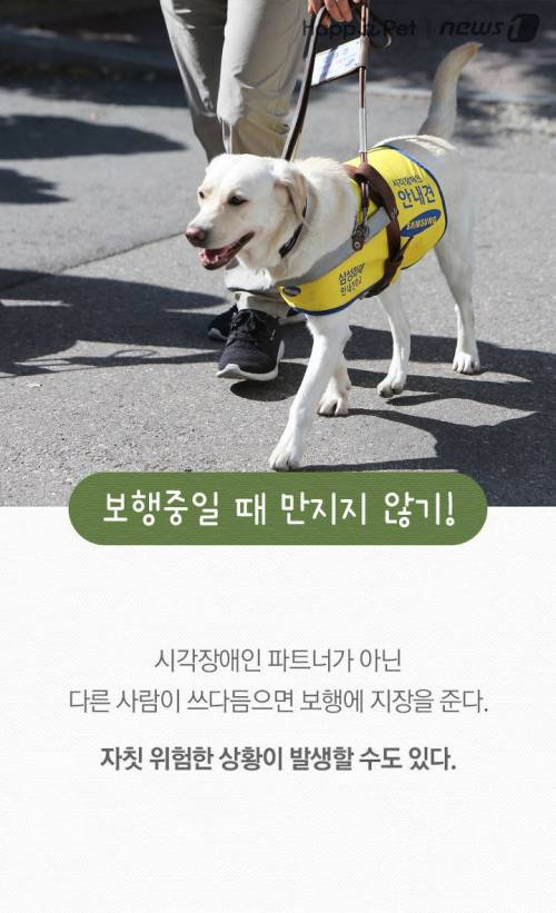 '시각장애인의 눈' 안내견을 위한 펫티켓.jpg