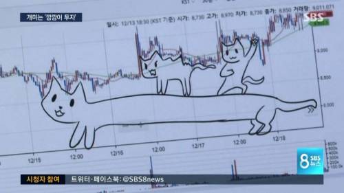 SBS뜬 비트코인 갤러리.jpg