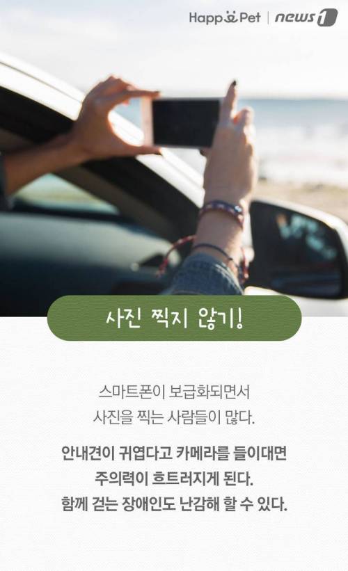 '시각장애인의 눈' 안내견을 위한 펫티켓.jpg