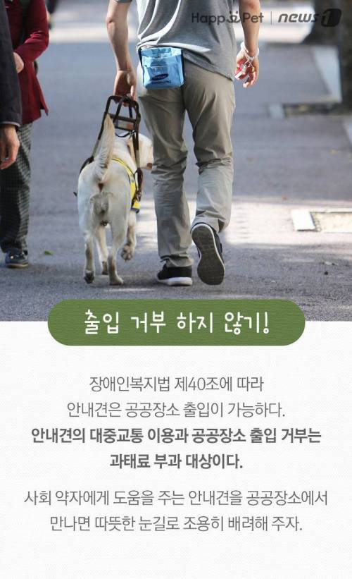 '시각장애인의 눈' 안내견을 위한 펫티켓.jpg