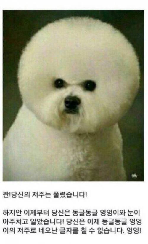 멈무미 엉엉이.....