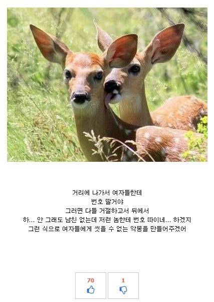 신년계획.jpg
