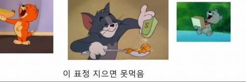 톰과 제리 특징.jpg