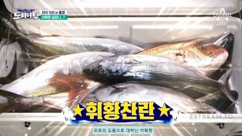 자기가 잡은 물고기를 먹지 않는 프로 낚시꾼.jpg
