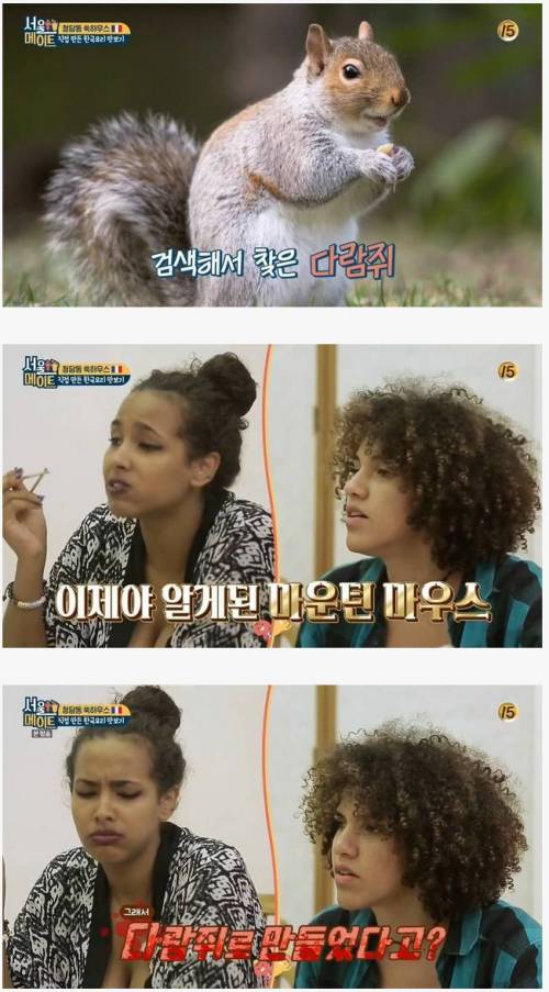 마운틴 마우스로 만든 젤리.jpg