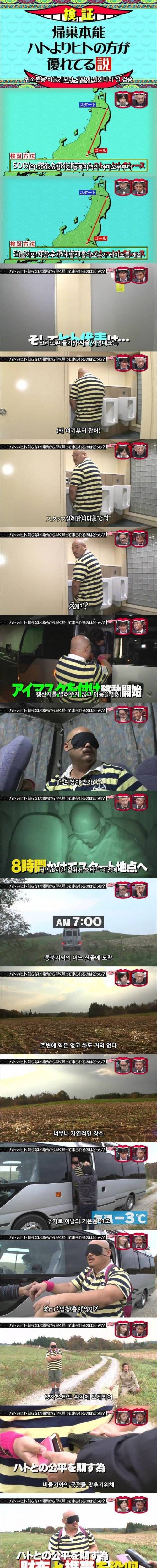 열도의 흔한 VS 컨셉 예능.jpg