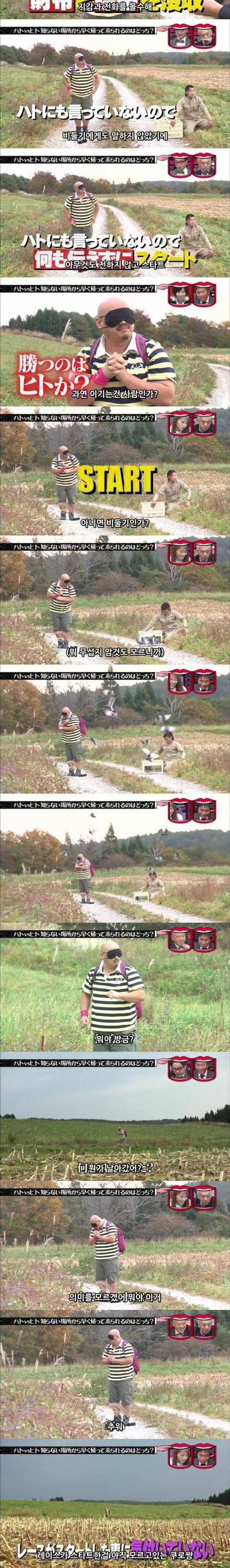 열도의 흔한 VS 컨셉 예능.jpg