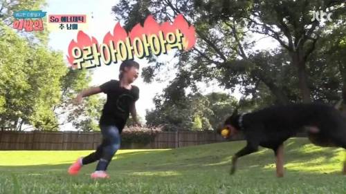 극한직업 추신수네 집 멍뭉이.jpg