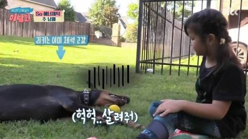 극한직업 추신수네 집 멍뭉이.jpg