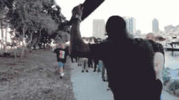동업자 발견.gif