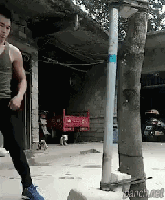 대륙의 최배달.gif