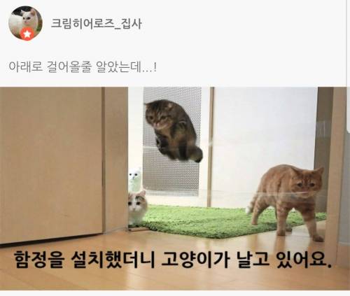 함정을 설치했더니...jpg