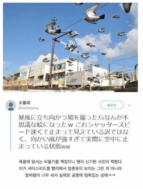 신기한 사진이 찍혔다.jpg