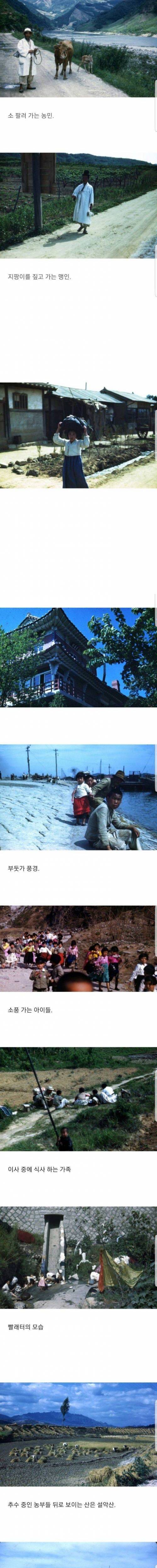 1946년 한국 컬러사진.jpg