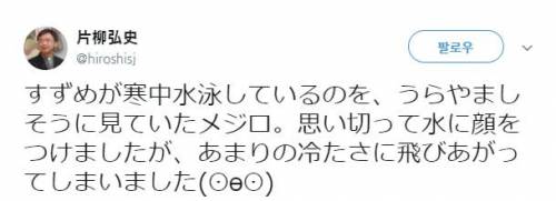 참새가 샤워하는 걸 본 동박새.jpg