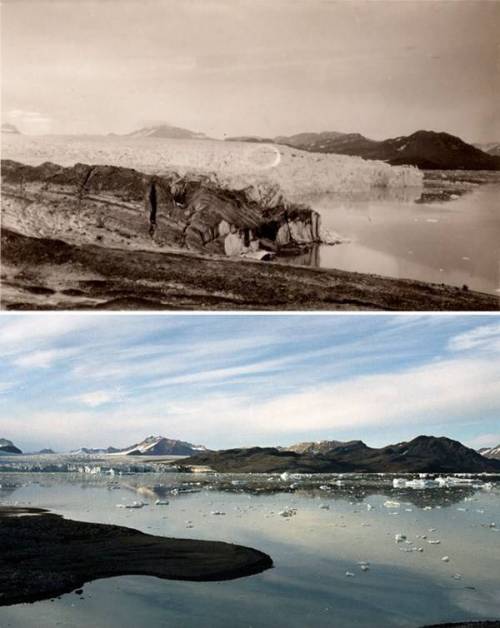 북극 100년전과 지금.jpg