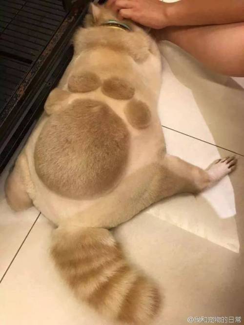 쿵 밟고 지나가쪄.jpg