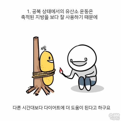 아침에 운동하면 효과가 좋다.jpg